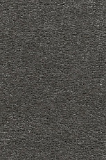 Ковролин AW Invictus Heroicus 97 фото 1 | FLOORDEALER